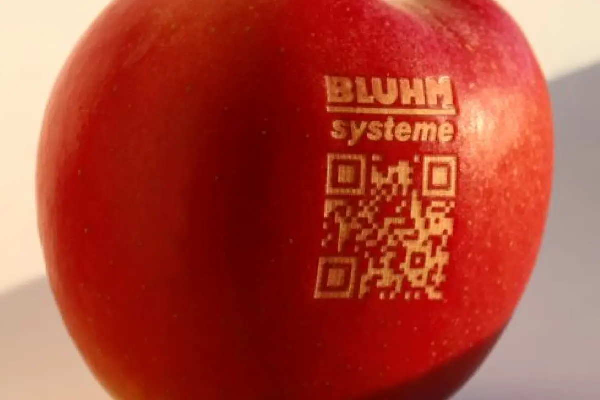 Apfel Laser Code Messe1 490x481