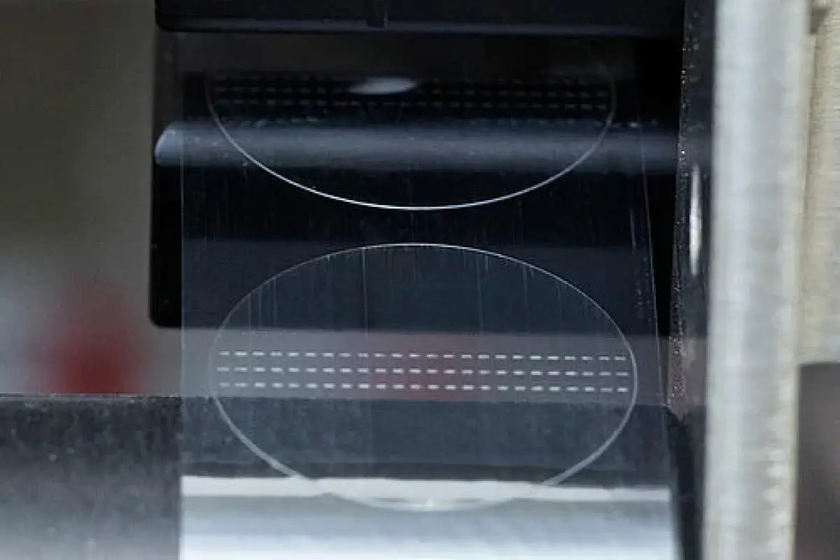 Perforated tamper evident label